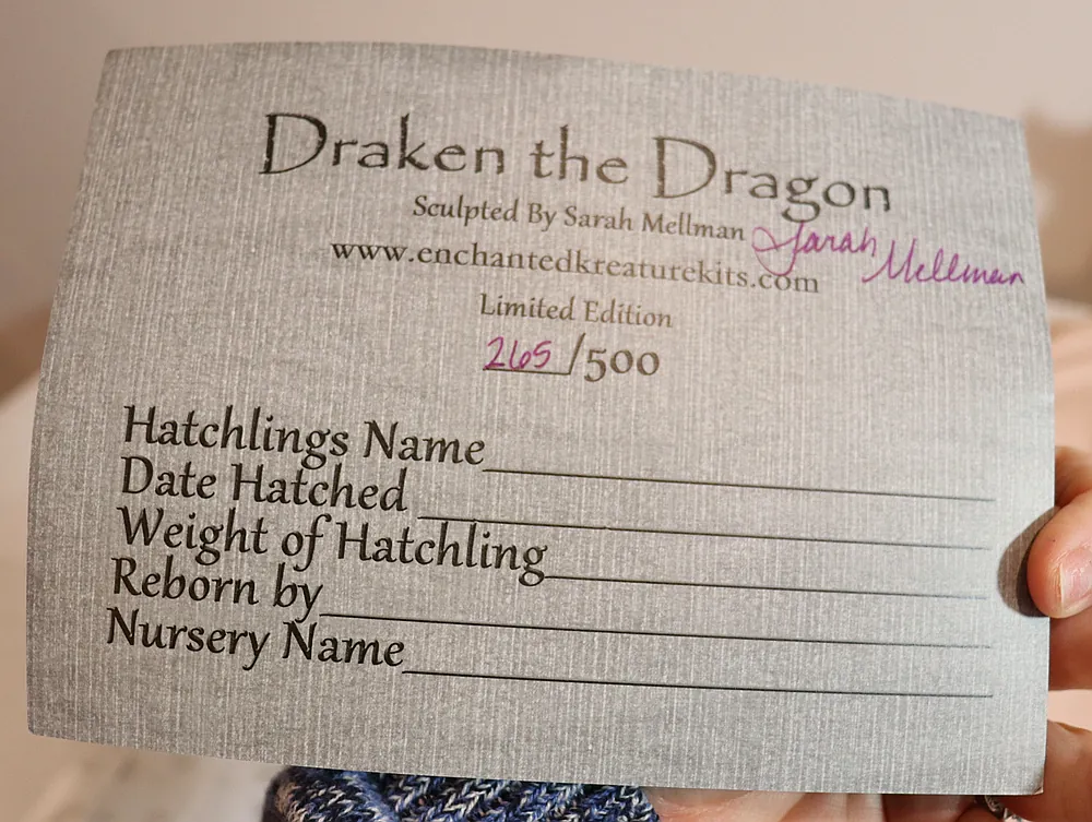 Draken The Dragon 6 Draken The Dragon