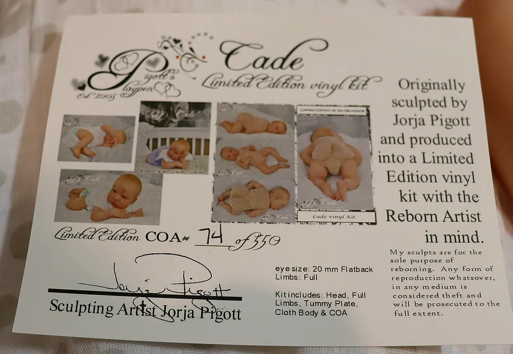 Cade Pigott