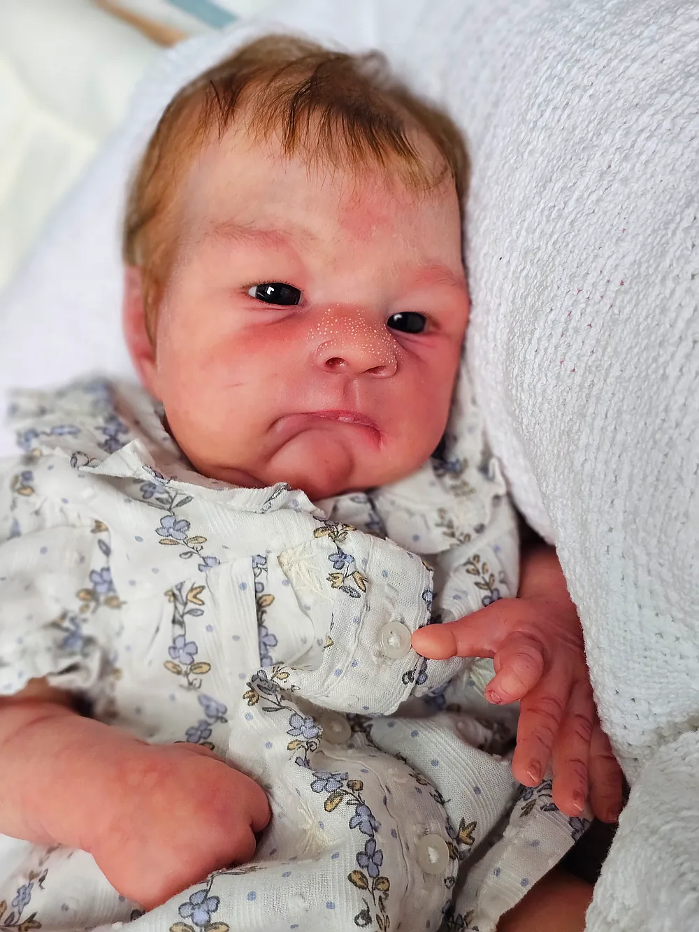 Adalyn 8 Adalyn