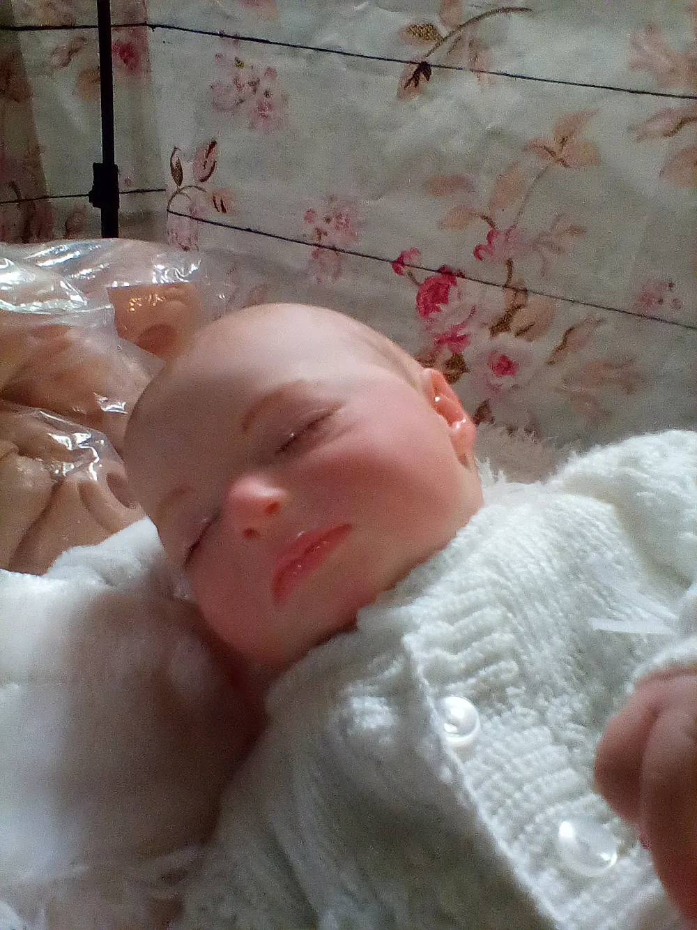Phineas Asleep