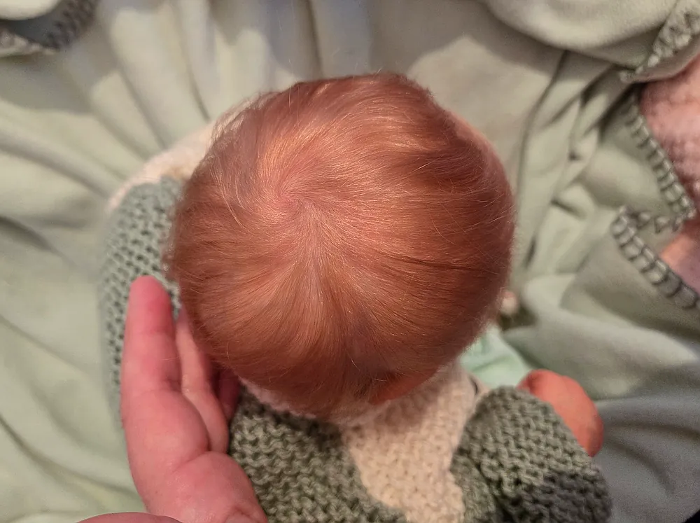 Adalyn