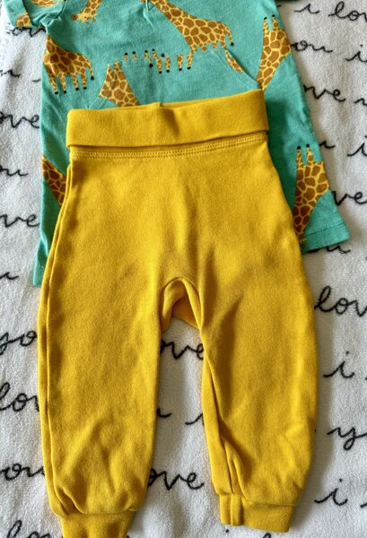 Giraffe Joy Bundle 7 Giraffe Joy Bundle